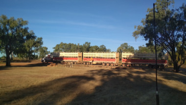 Forty Mile Scrub National Park - Road train